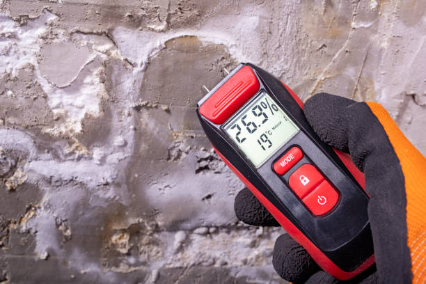 Best Post-Flood Mold Remediation in Woodstock, AL